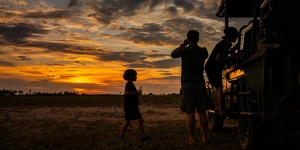 Game Drives