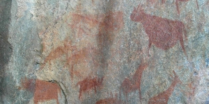 TSODILO BUSHMAN ROCK PAINTINGS (SAFARI 005)